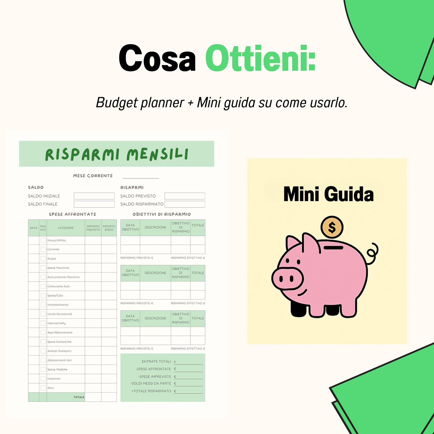 Budget Planner - Formato PDF
